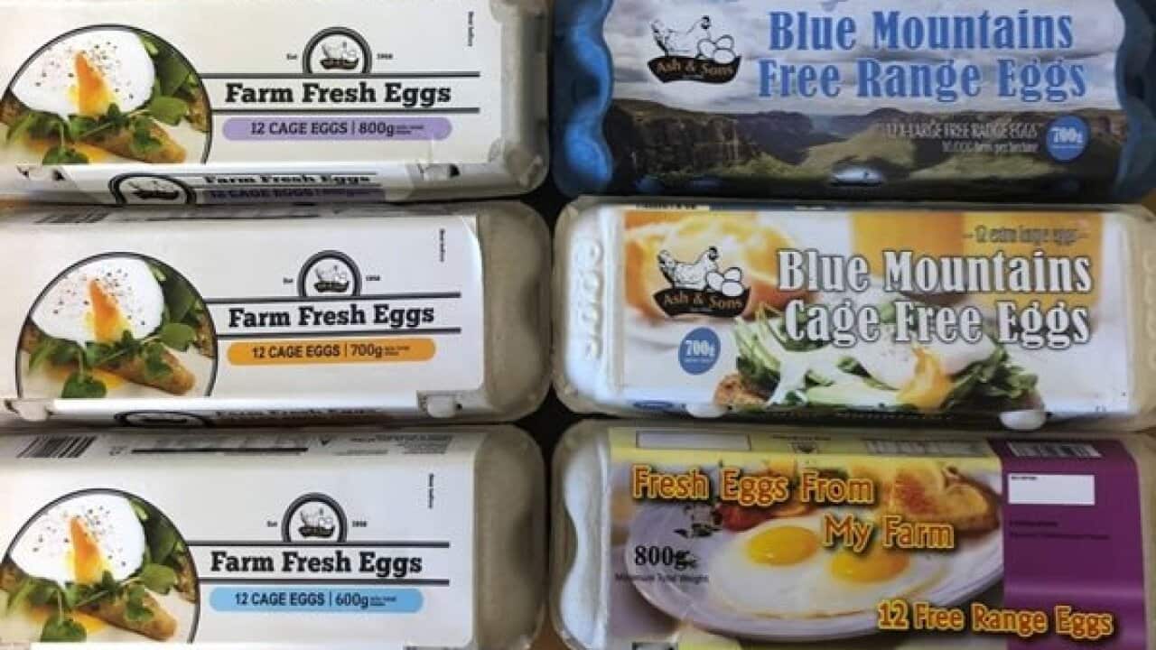 NSW Food Authority recalls Ash and Sons eggs