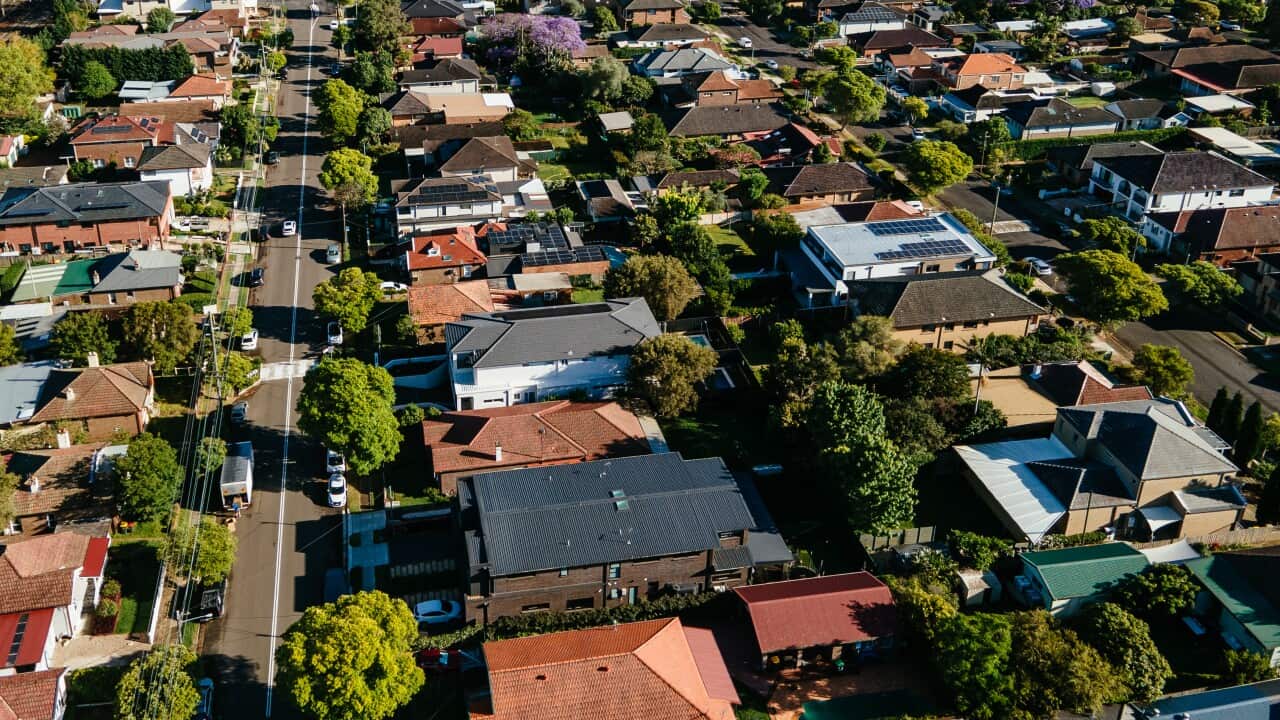 Aerial view of suburban neighborhood with solar panels on roofs and a swimming pool surrounded by lush green trees and houses