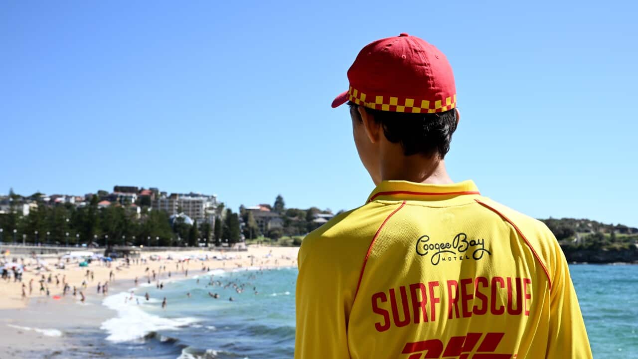 A young surf lifesaver looking out at Coogee Beach