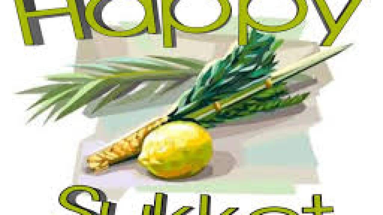 sukkot.jpg