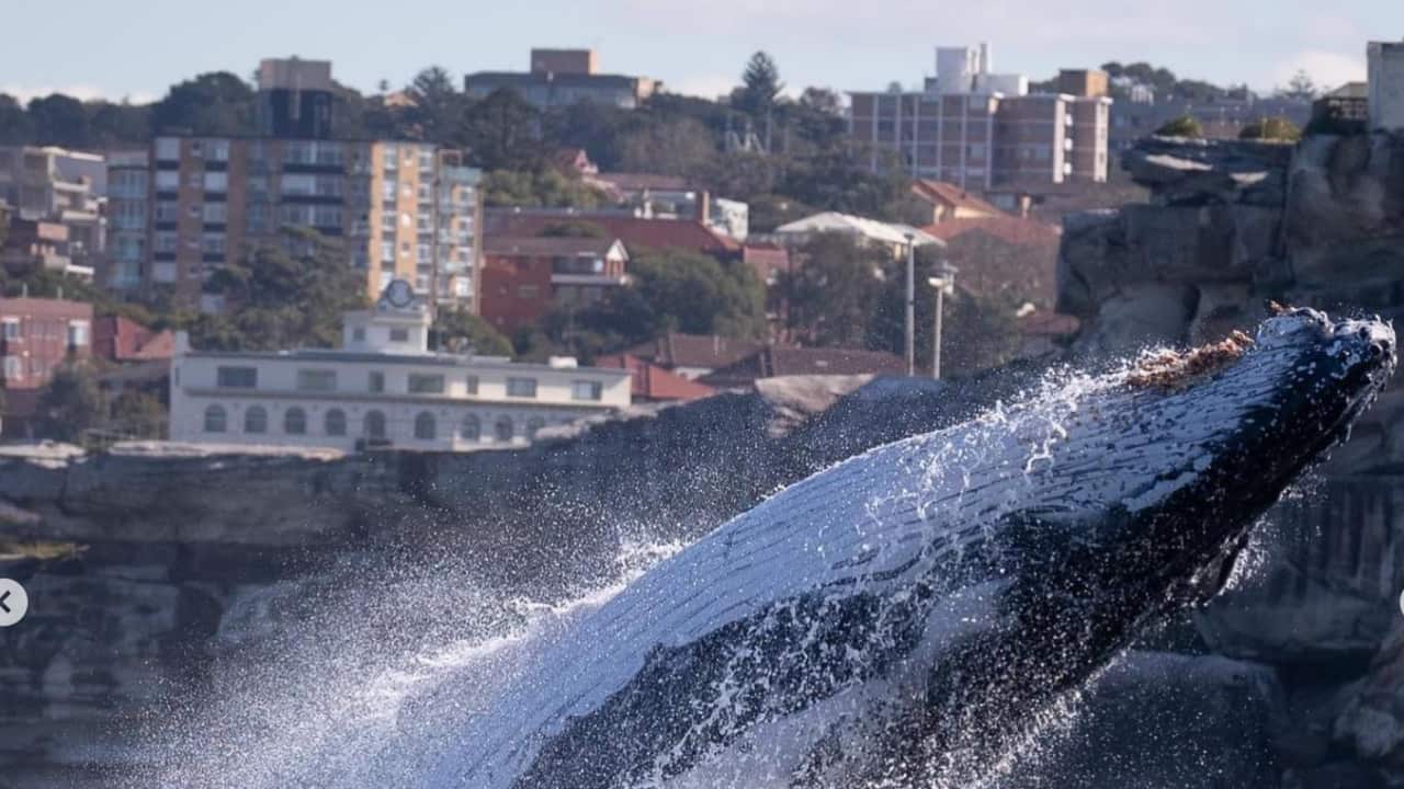 Image for read more article ''