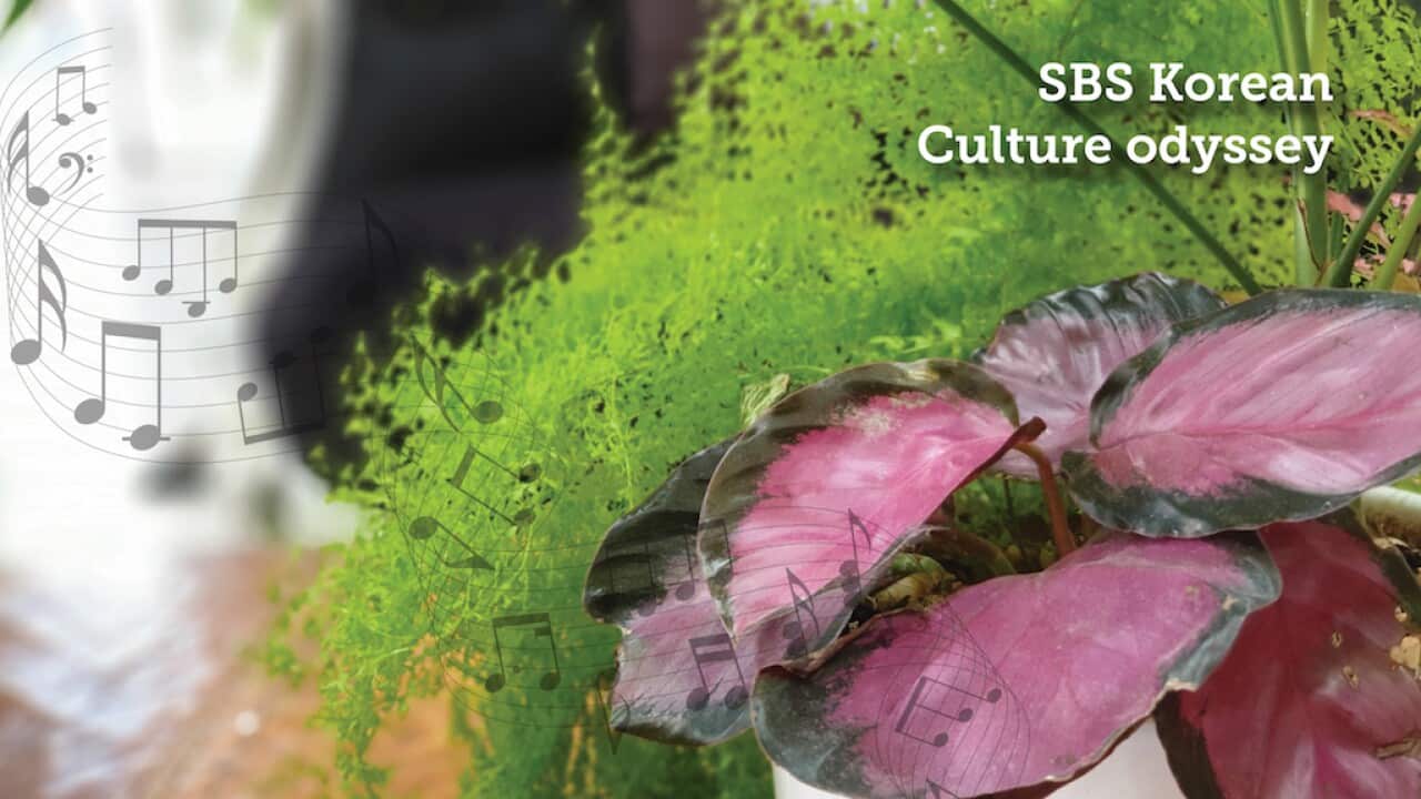 Culture Odyssey "a little change in your daily life"