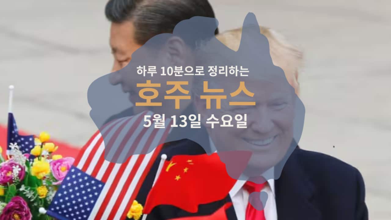 Daily News .png