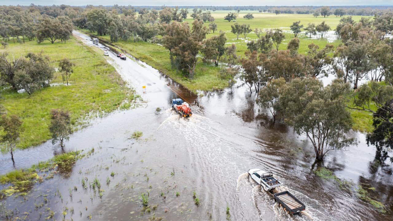 NSW FLOODS