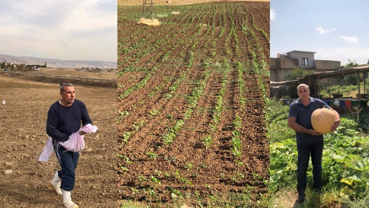 Image for read more article 'READ MORE'