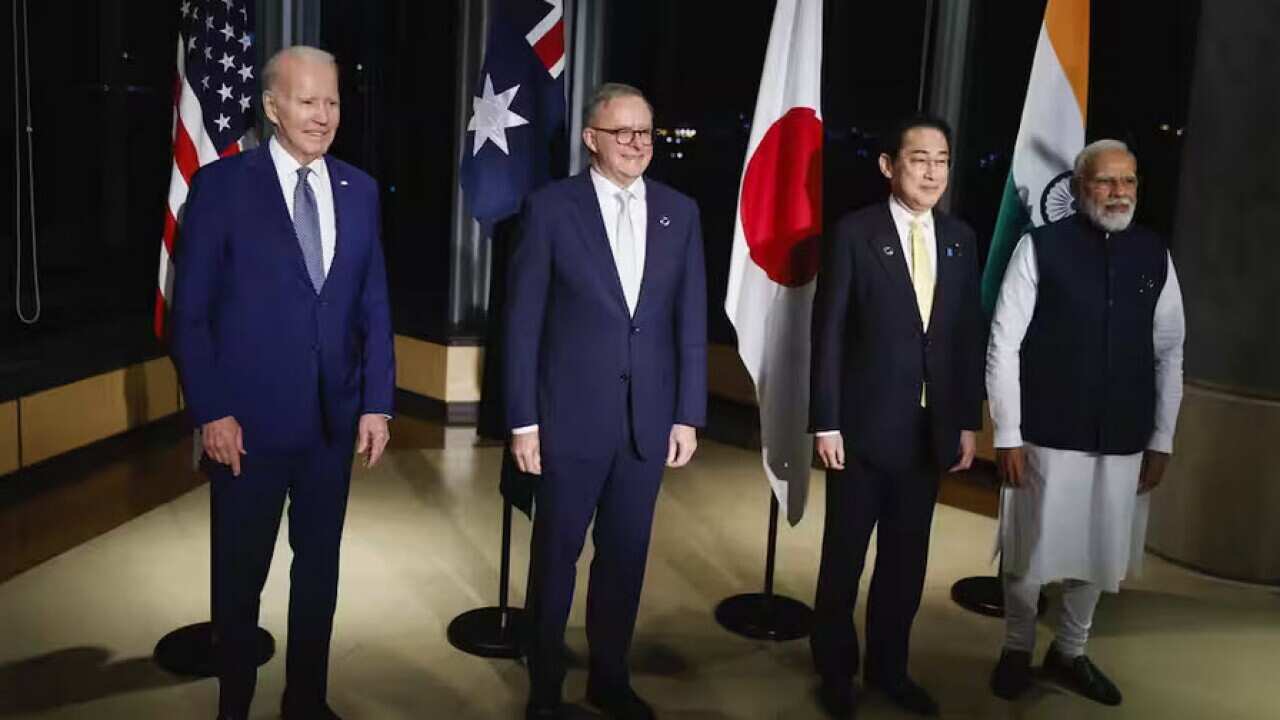 Albanese Quad.jpg