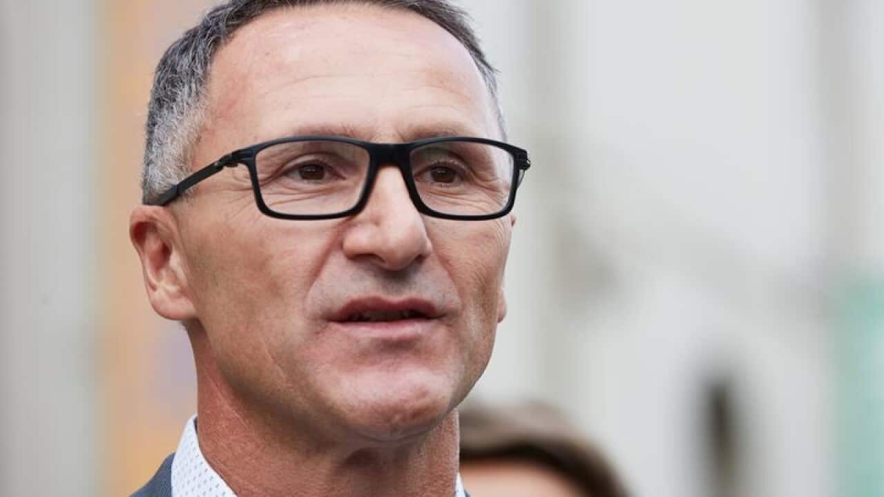 JULIAN BURNSIDE GREENS