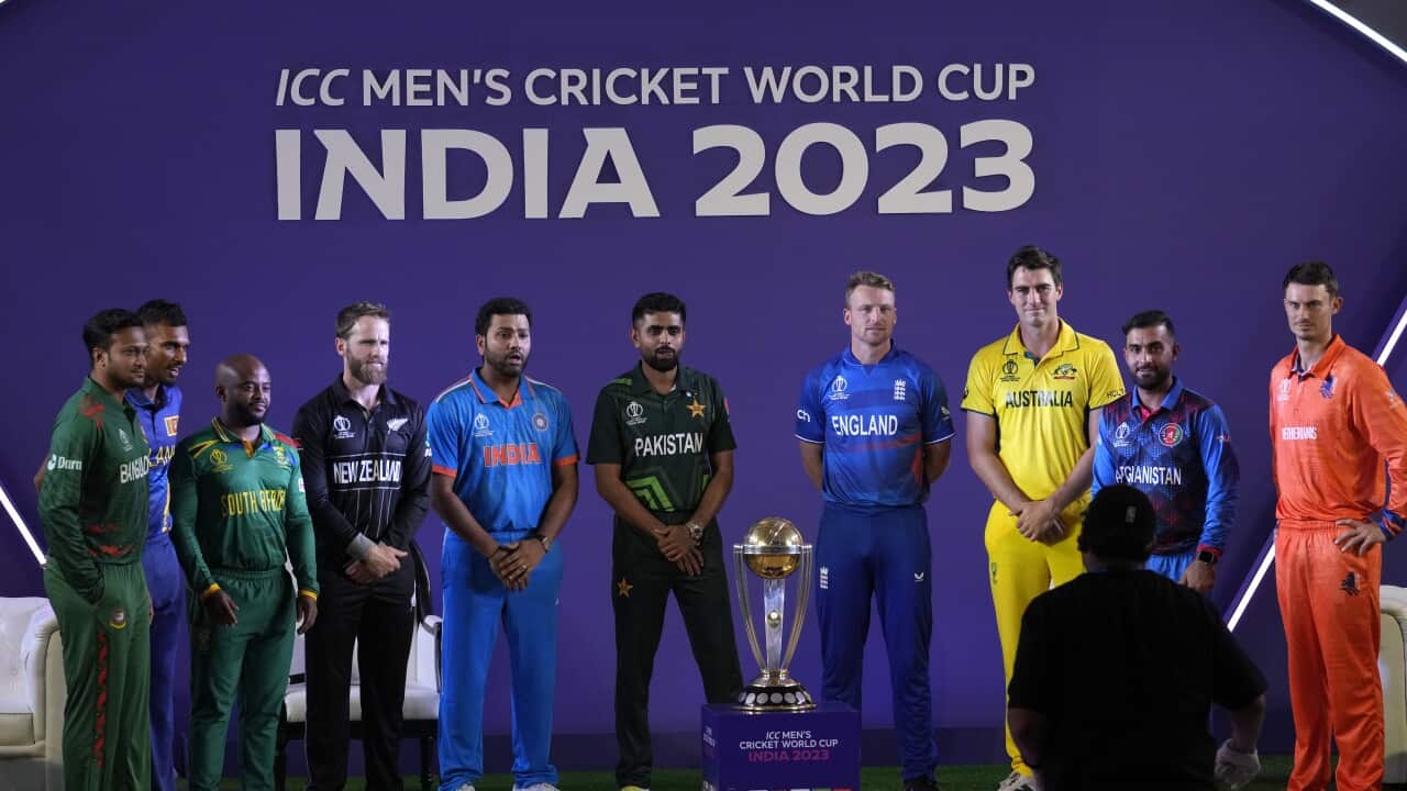 India Cricket WCup