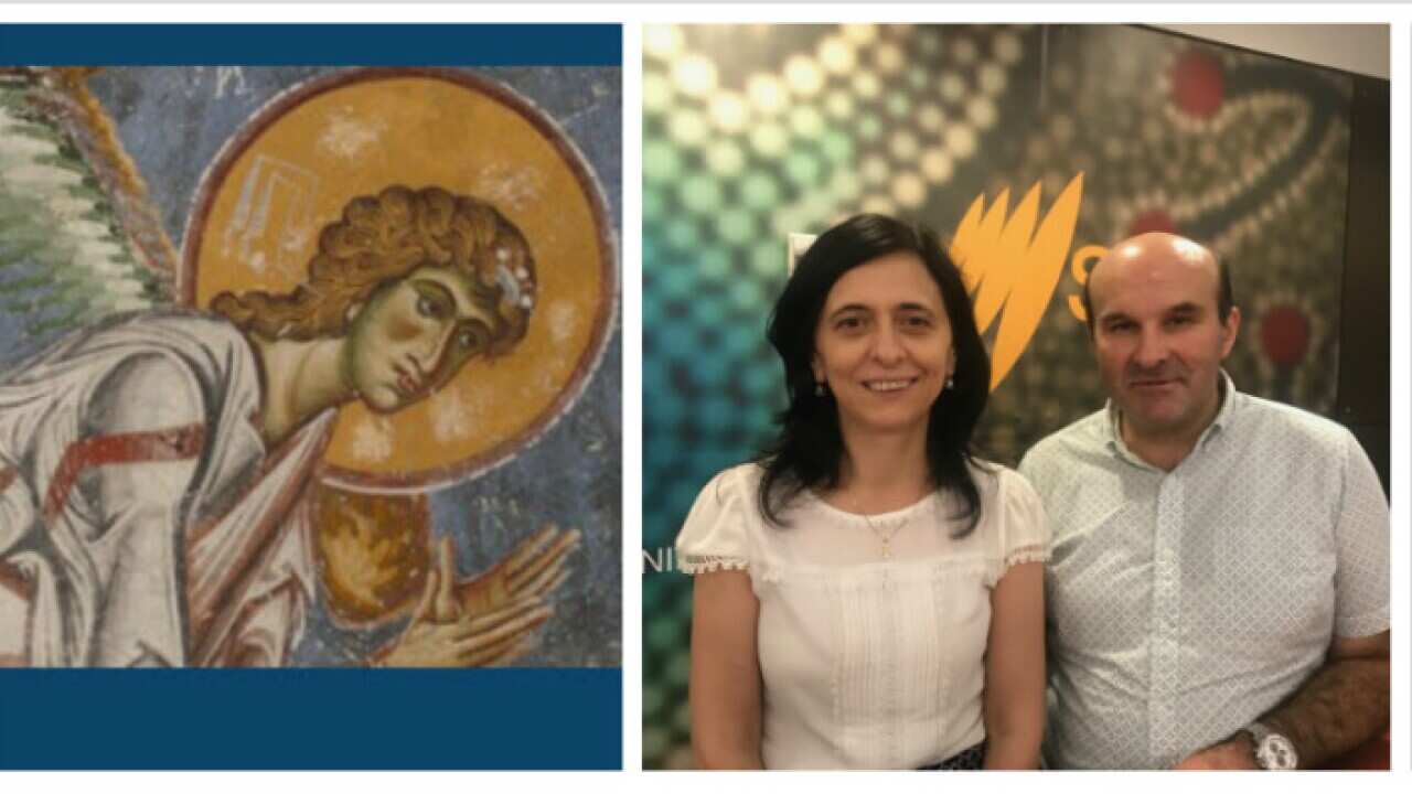 Macdonian Humanitarian organisation