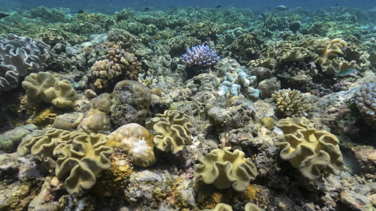 Australian Great Barrier Reef