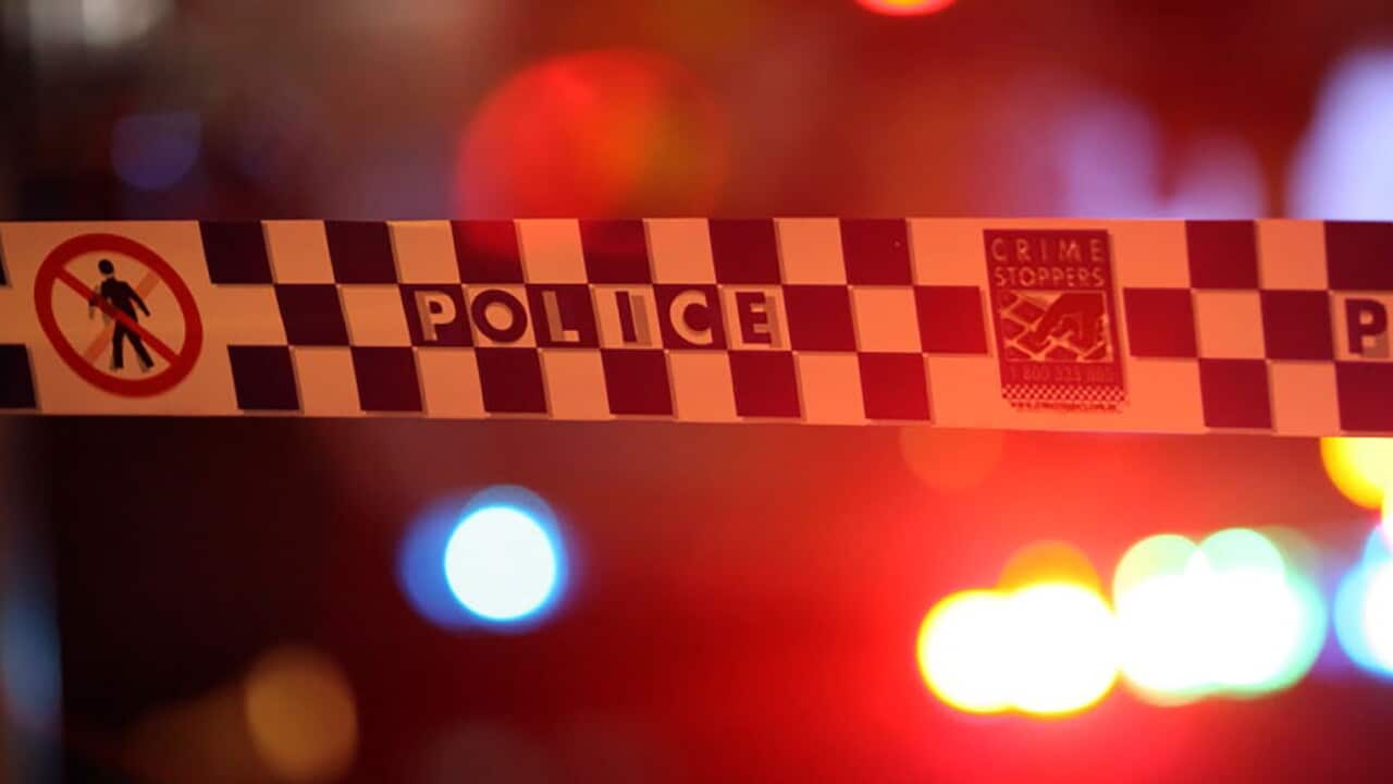 Armed man shot dead by NSW Police after allegedly aiming rifle at officers following car crash near Rugby; critical incident investigation underway