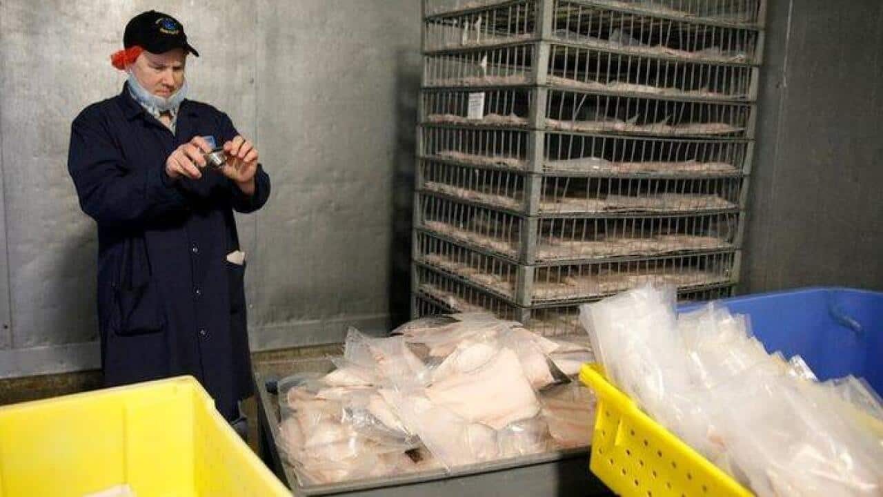 Food inspectors in Australia