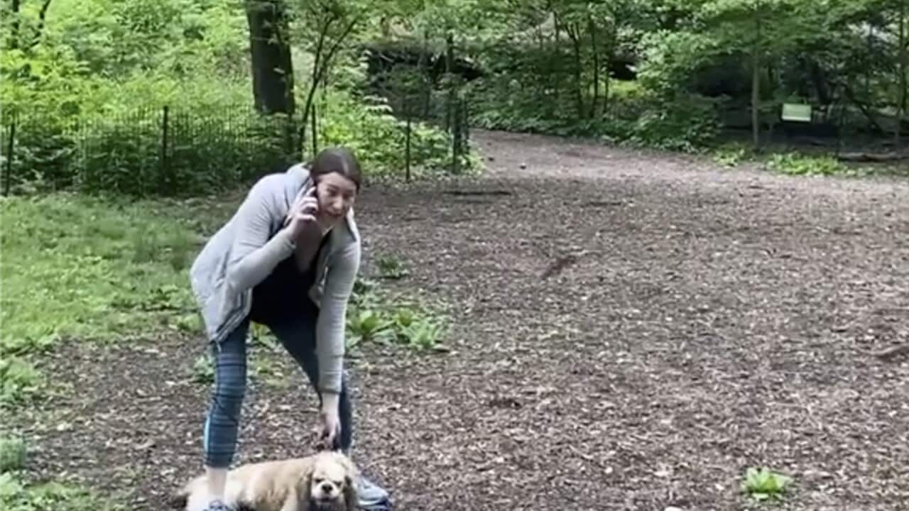 Amy Cooper with her dog calling police at Central Park in New York