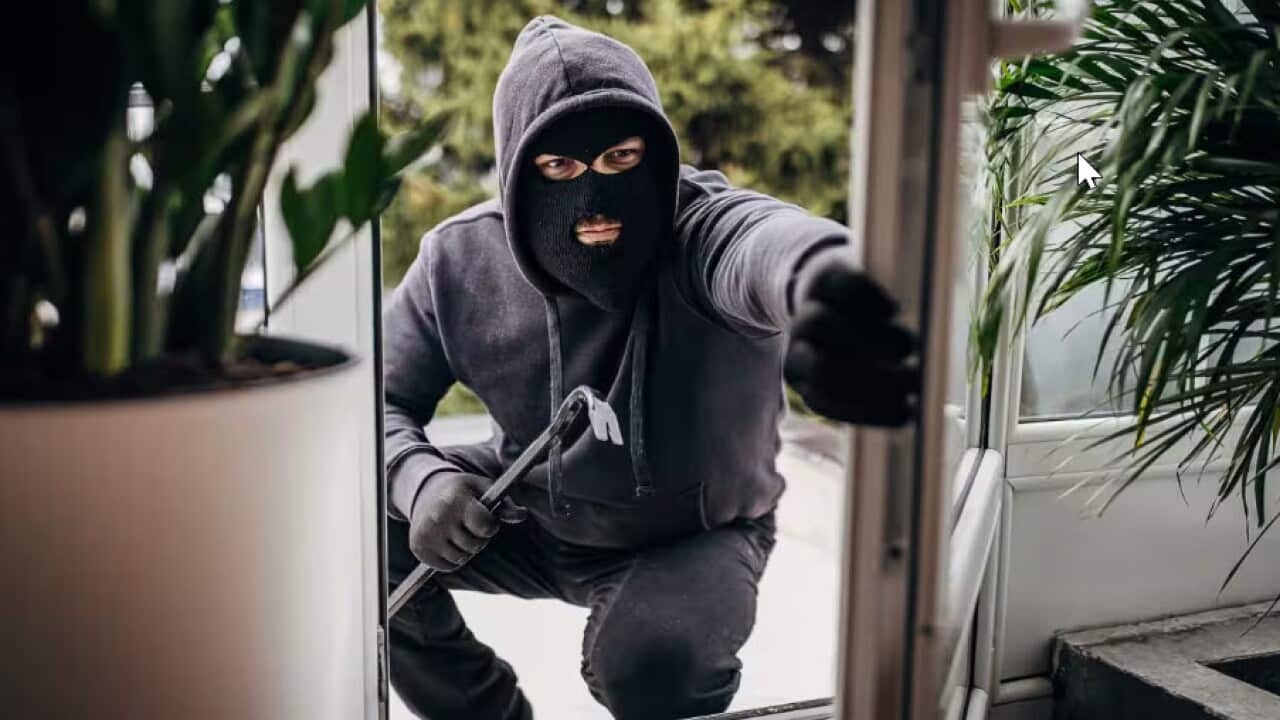 australia explained theft.jpg