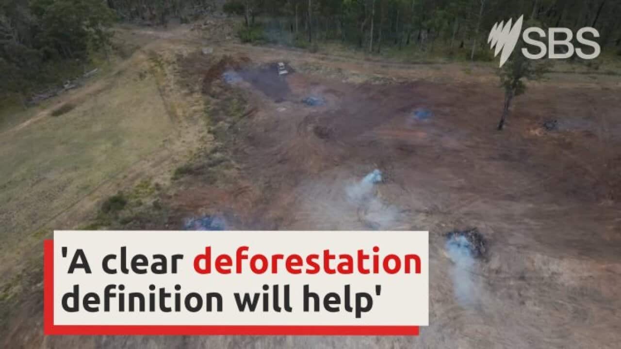 Australia's supermarket giants are facing pressure from an environmental group to stop selling beef linked to deforestation.