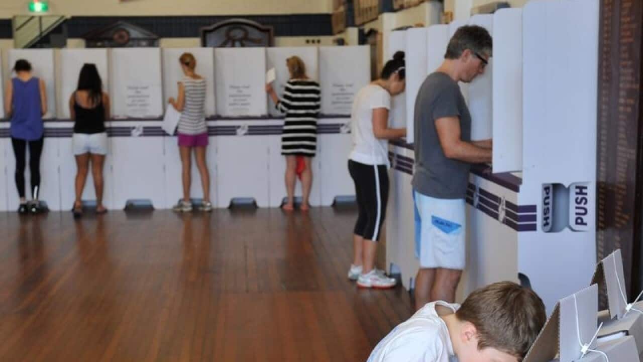 A young boy looks into a ballot box