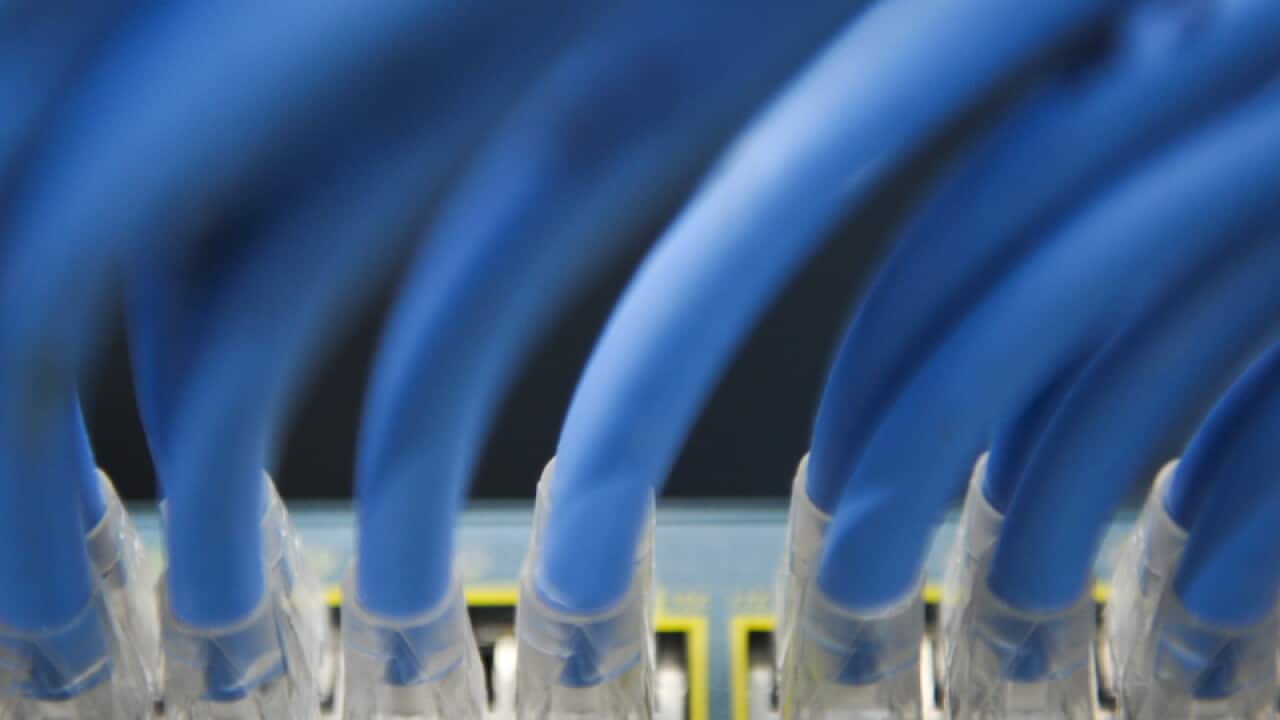 Ethernet cables.