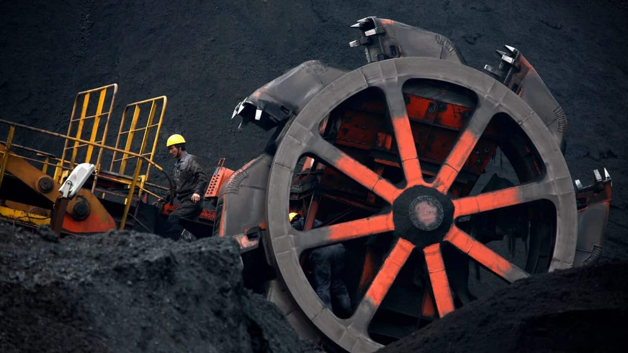 Australia's Ambassador to China, Jan Adams, has been asked to investigate reports that Australian coal has been banned from a key port in China.