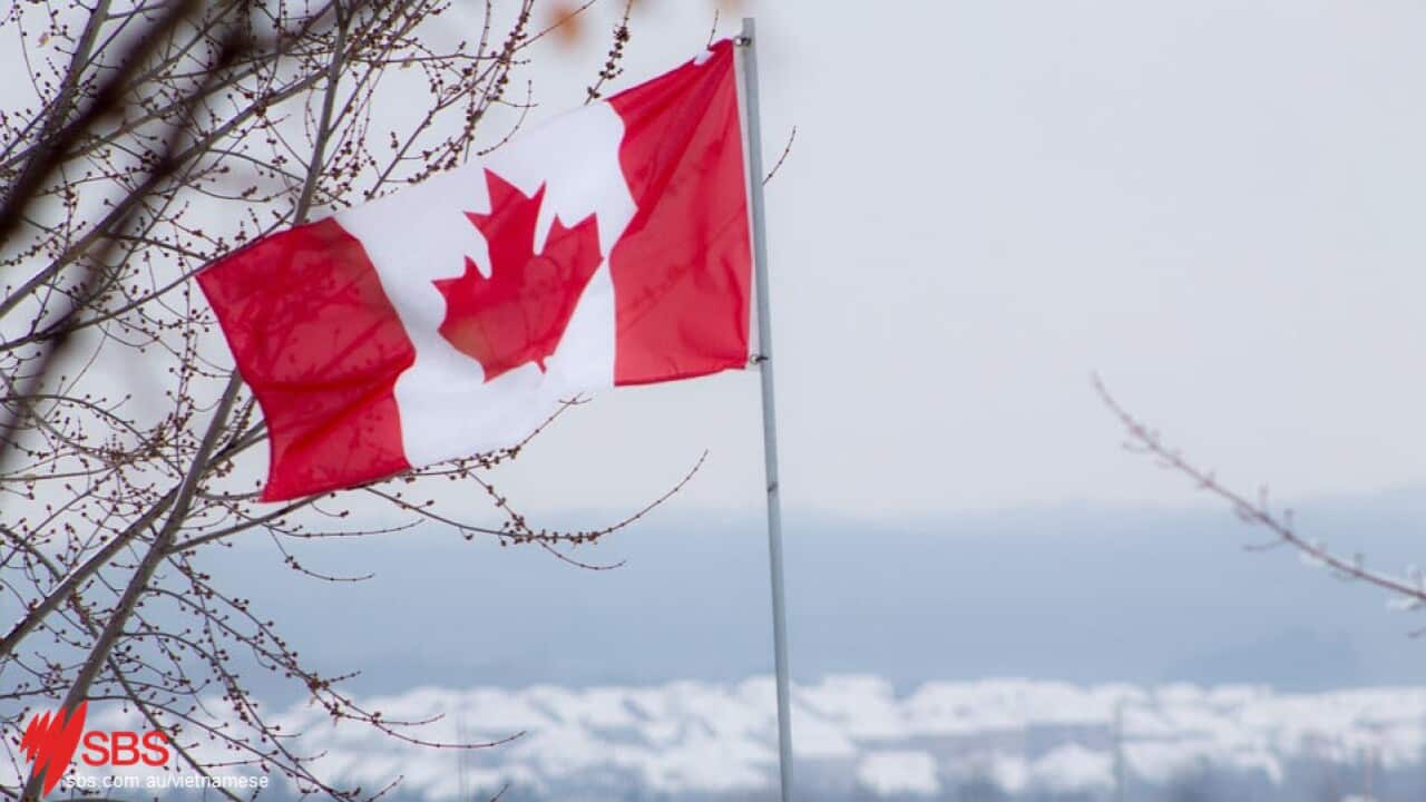 vietnamese, canada flag