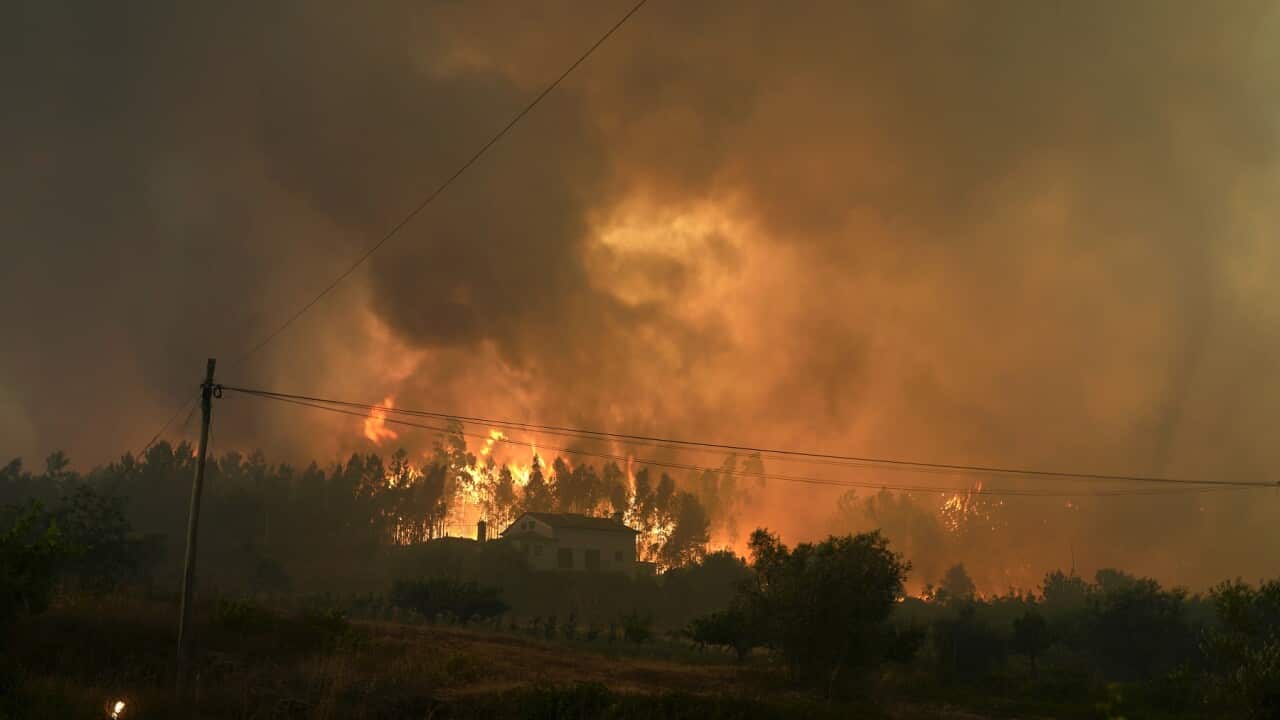 APTOPIX Portugal Forest Fires