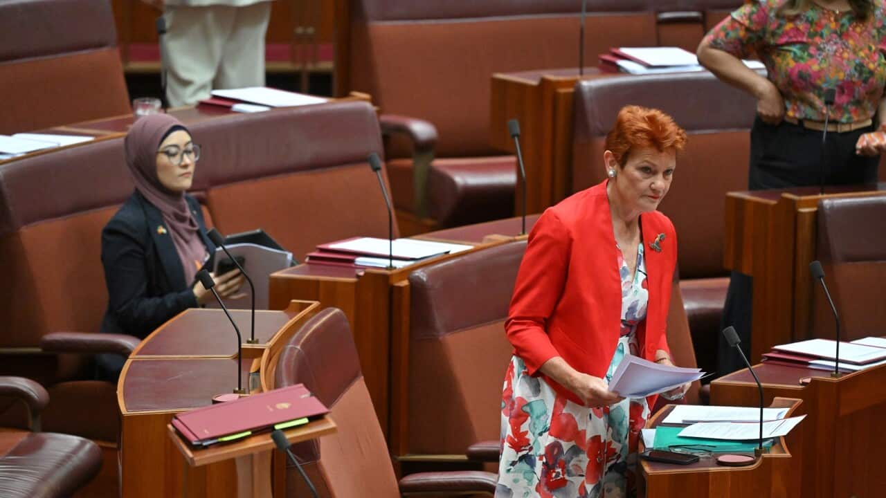 Image for read more article 'Más información:'