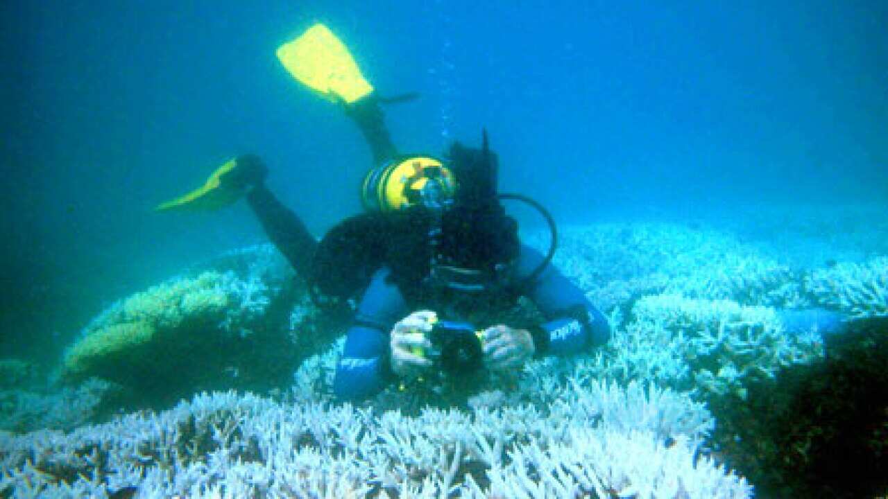 great_barrier_reef_0207_B_getty_493160689