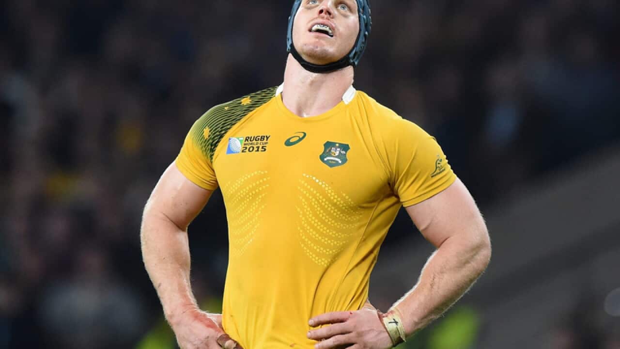 Wallabies player David Pocock