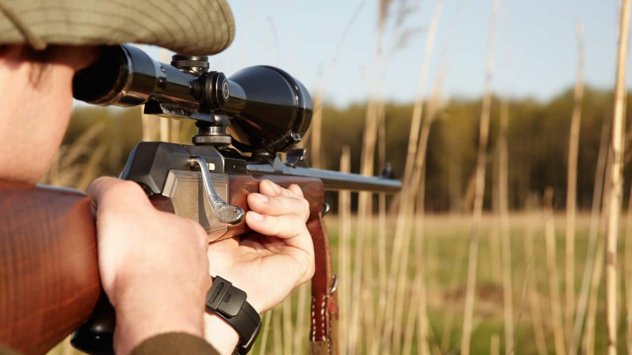 Patience is the secret to a perfect shot