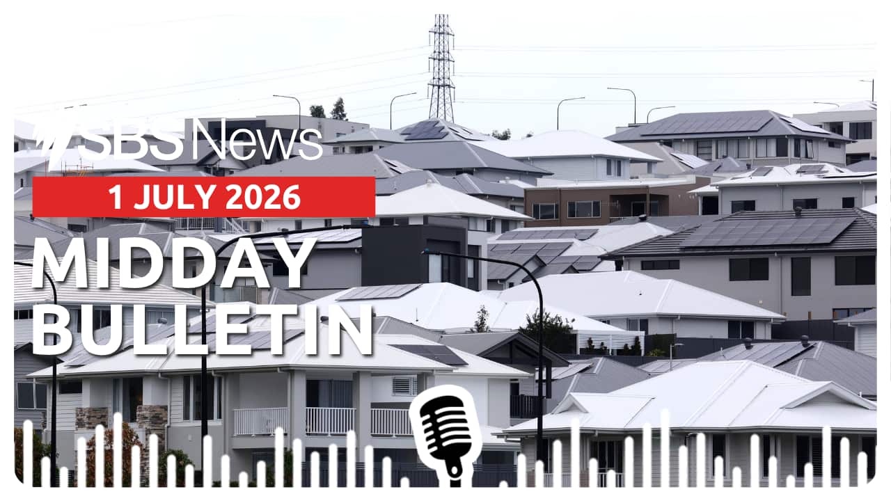MIDDAY BULLETIN (1).png