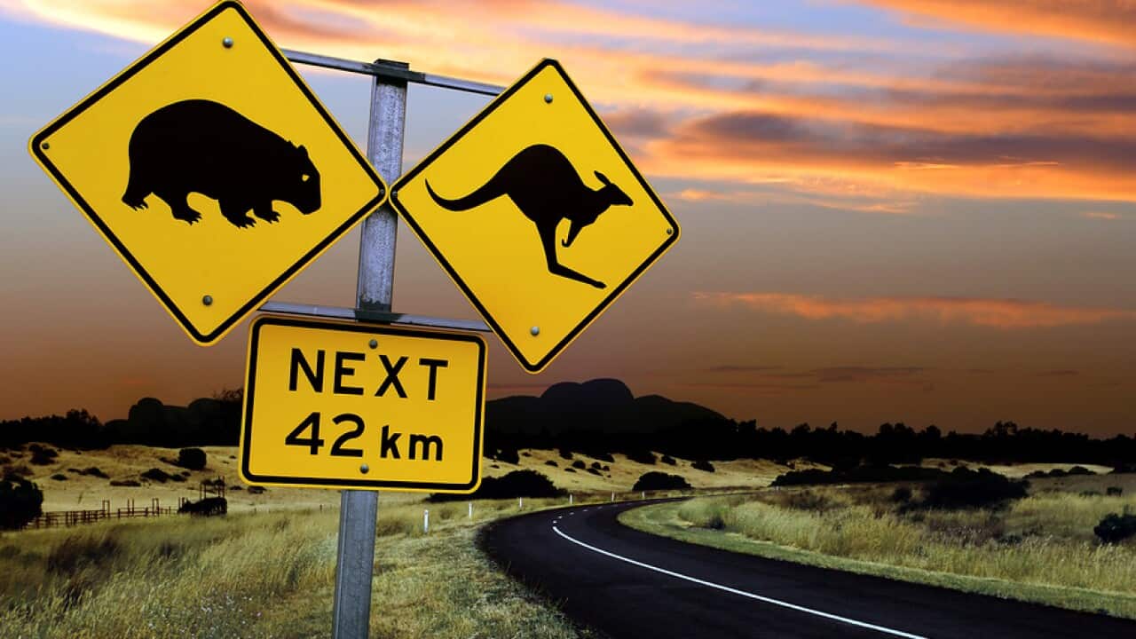 Australian Road Signs