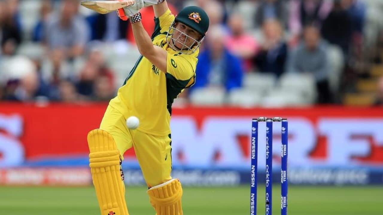 David Warner