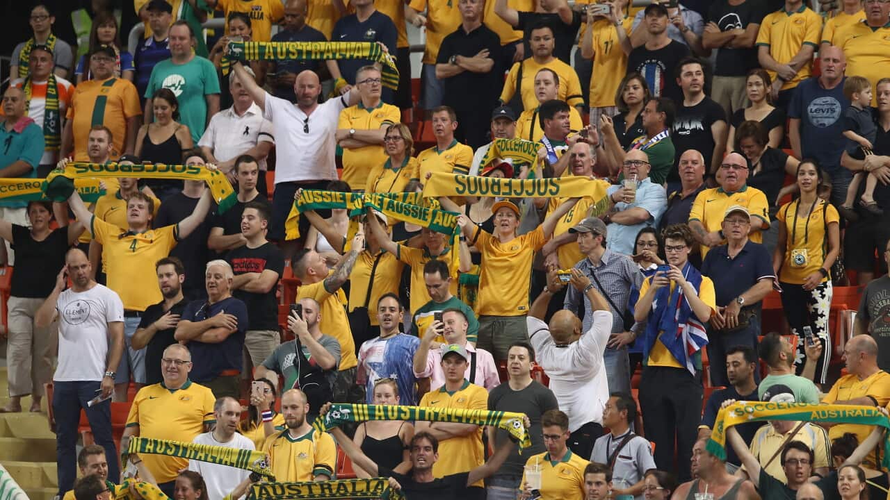 Socceroos fans wearing green and gold at a football match