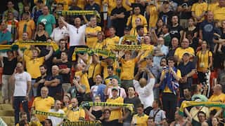 Socceroos fans wearing green and gold at a football match