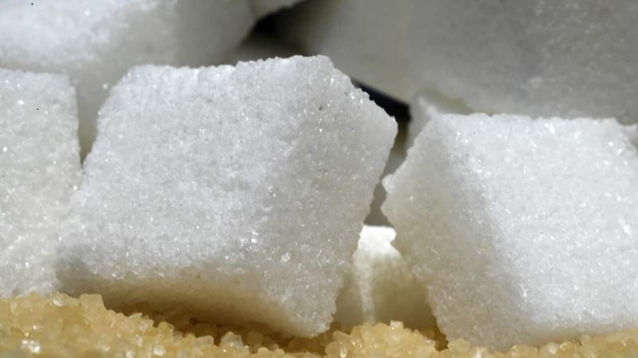 sugar cubes