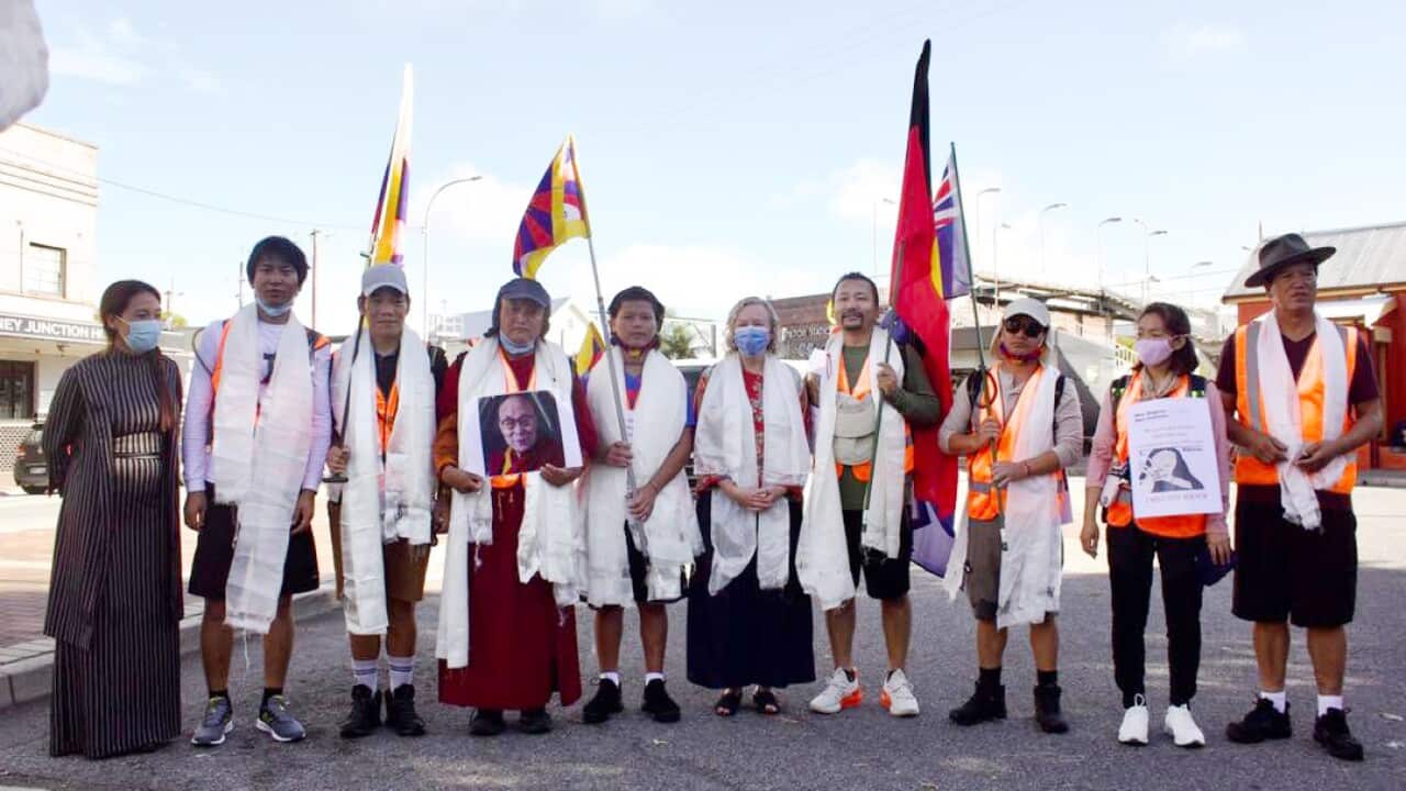 Tibetan, Olimpic