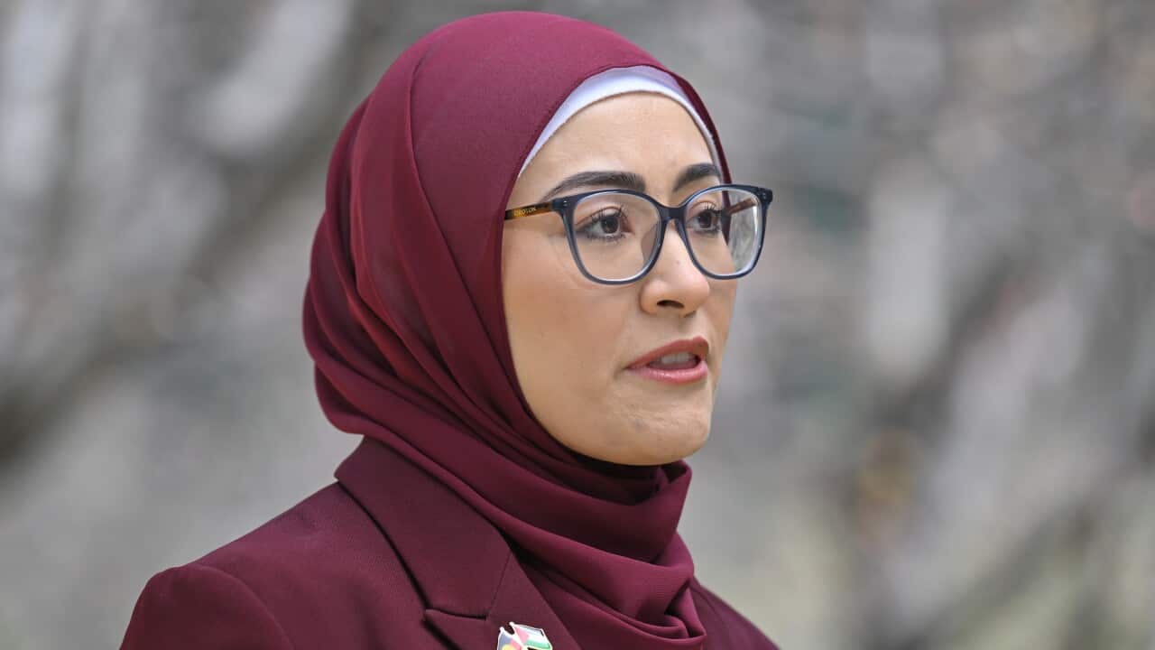 FATIMA PAYMAN PRESSER