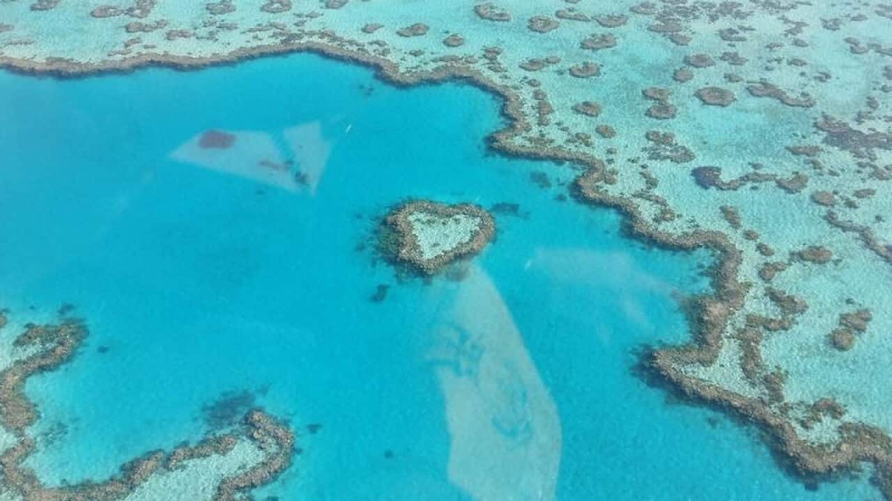 The Great Barrier Reef, seen from above