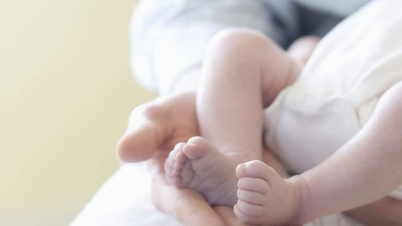 Father holding feet of two week old baby. (AAP)