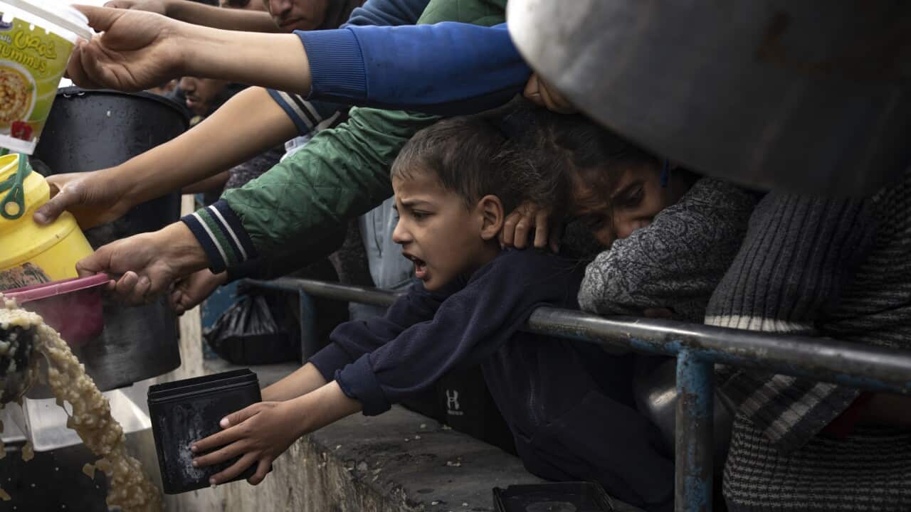 A child in a black shirt is among people holding their hands out