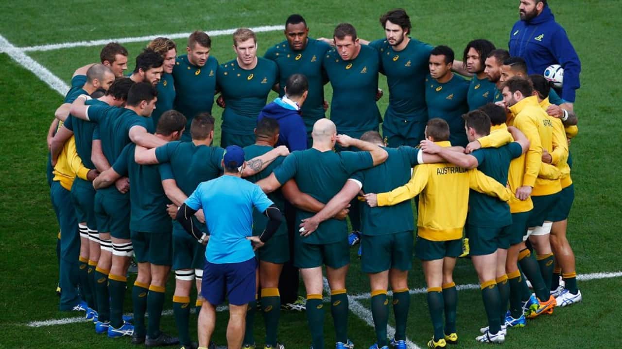 Wallabies
