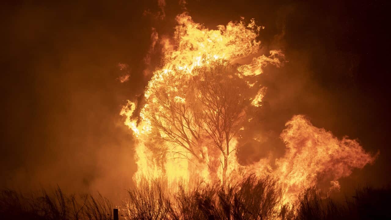 The Clear Range Fire near Bredbo North during last summer's devastating bushfire season. February 01, 2020