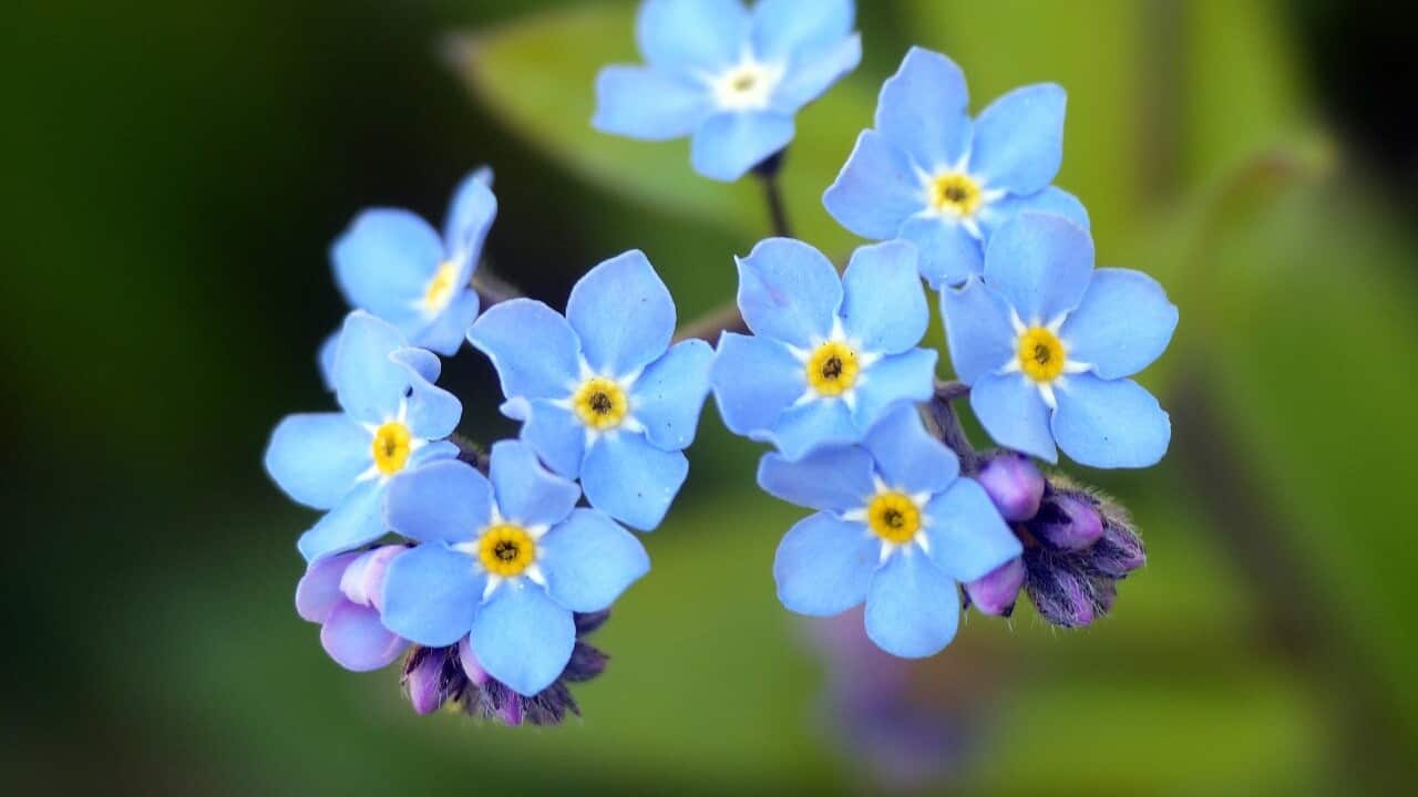 Image for read more article 'READ MORE'