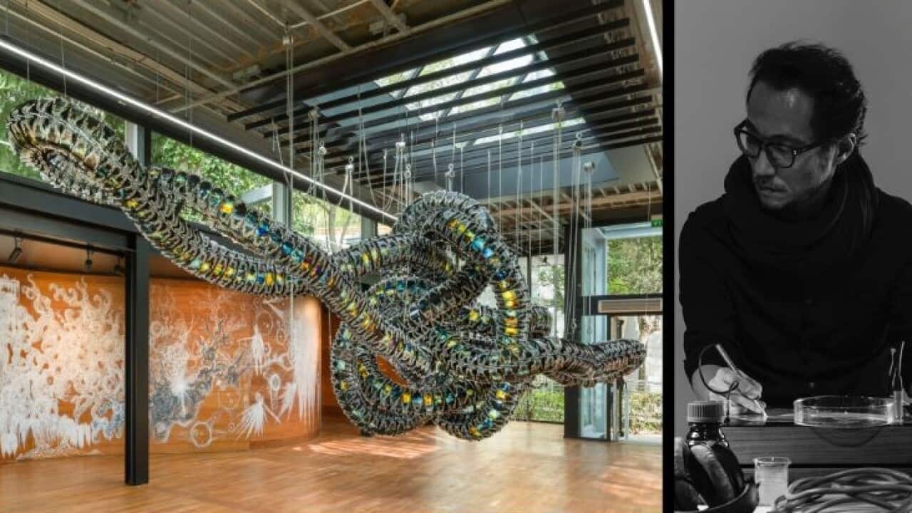 Image for read more article 'READ MORE'