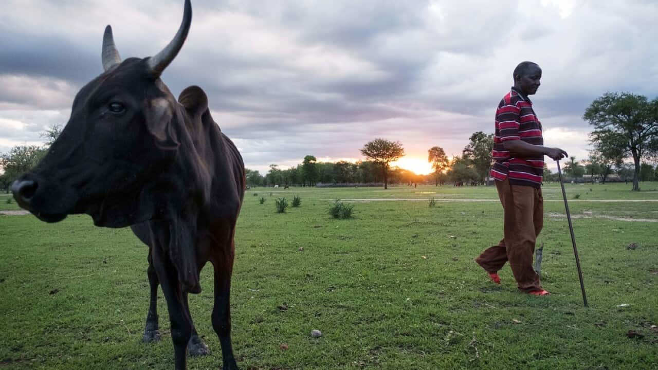 Image for read more article 'READ MORE'