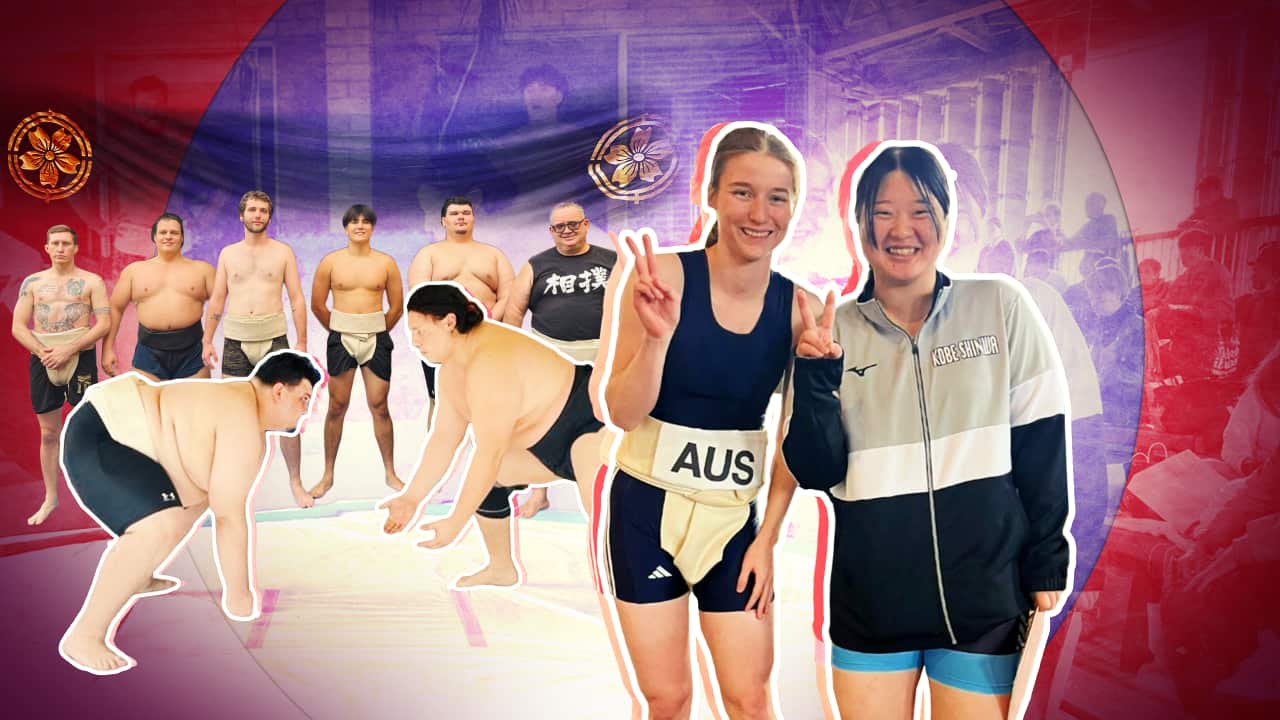 GFX 220425 SBS JAPANESE SUMO HEADER.png