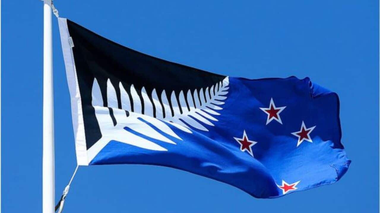 New Zealand, flag, voting