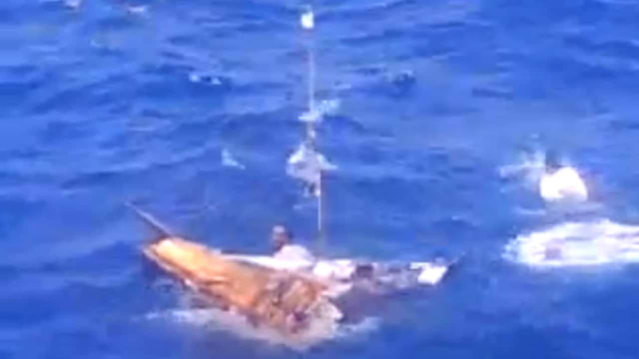 19-08-2014 4-05-15 PM.png