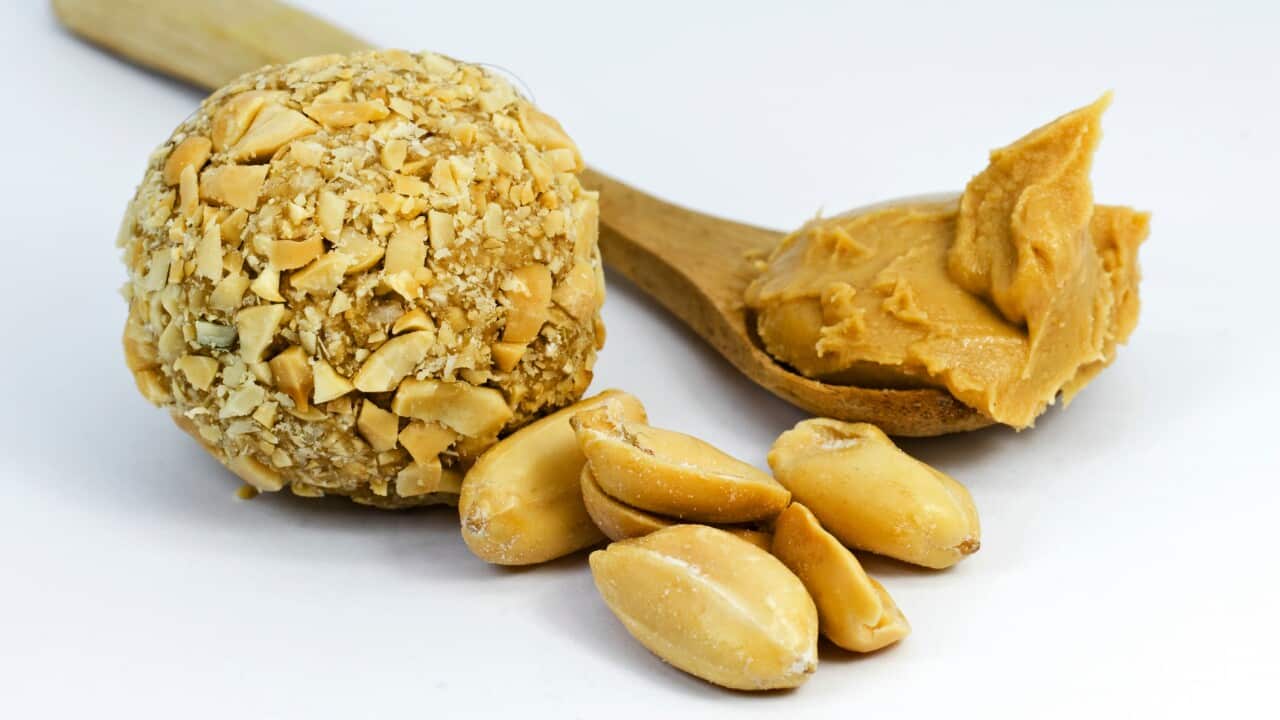 “By eating more than 10 grams of nuts per day older people could improve their cognitive function by up to 60 per cent compared to those not eating nuts.”