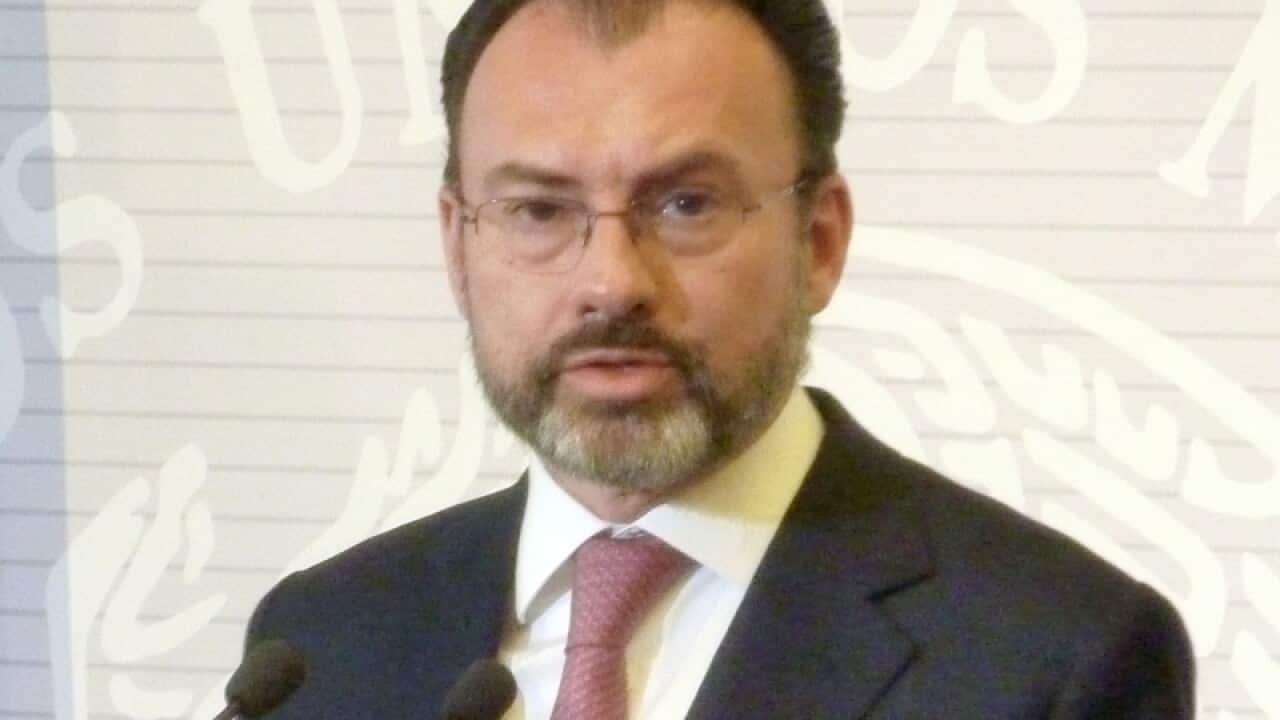 Mexican Foreign Minister Luis Videgaray