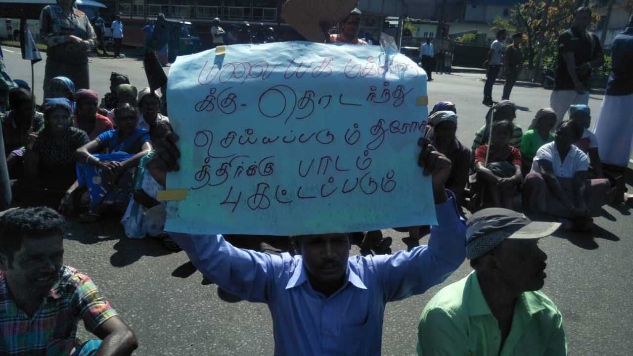 Focus : SriLanka